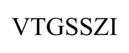 VTGSSZI trademark