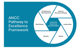 ANCC PATHWAY TO EXCELLENCE FRAMEWORK POSITIVE PRACTICE ENVIRONMENT PROFESSIONAL DEVELOPMENT SHARED DECISION-MAKING LEADERSHIP SAFETY QUALITY WELL-BEING trademark