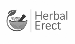 HERBAL ERECT trademark