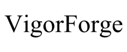 VIGORFORGE trademark