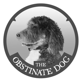 THE OBSTINATE DOG trademark