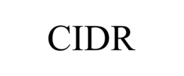 CIDR trademark