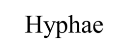 HYPHAE trademark