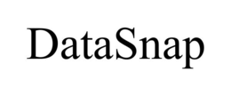 DATASNAP trademark
