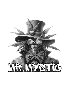 MR. MYSTIC trademark