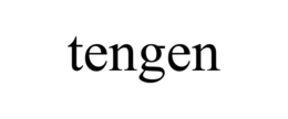 TENGEN trademark