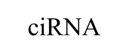 CIRNA trademark