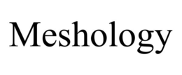 MESHOLOGY trademark