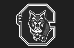 C trademark