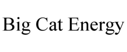BIG CAT ENERGY trademark