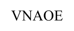 VNAOE trademark