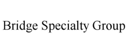 BRIDGE SPECIALTY GROUP trademark