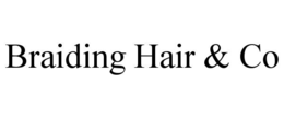 BRAIDING HAIR & CO trademark