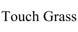TOUCH GRASS trademark
