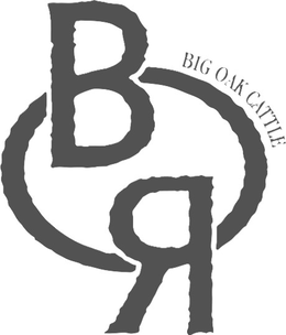BIG OAK CATTLE B O R trademark