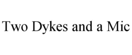 TWO DYKES AND A MIC trademark
