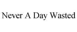 NEVER A DAY WASTED trademark
