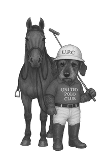 U.P.C UNITED POLO CLUB trademark