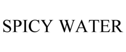SPICY WATER trademark