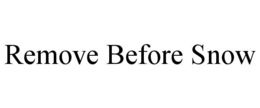 REMOVE BEFORE SNOW trademark