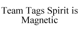 TEAM TAGS SPIRIT IS MAGNETIC trademark
