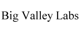 BIG VALLEY LABS trademark