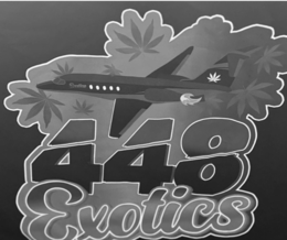 448 EXOTICS trademark