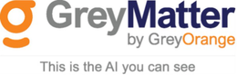 G GREYMATTER BY GREYORANGE THIS IS THE AI YOU CAN SEE trademark