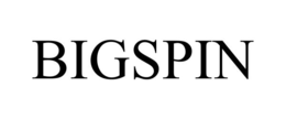 BIGSPIN trademark