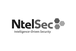 NTELSEC INTELLIGENCE-DRIVEN SECURITY trademark
