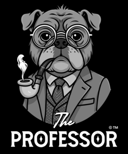 THE PROFESSOR trademark