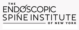 THE ENDOSCOPIC SPINE INSTITUTE OF NEW YORK trademark