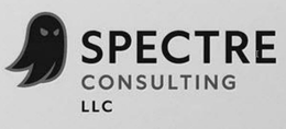 SPECTRE CONSULTING LLC trademark