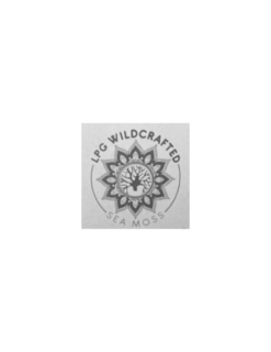 LPG WILDCRAFTED SEA MOSS trademark