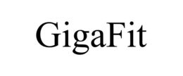 GIGAFIT trademark