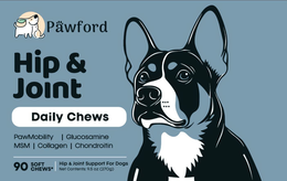PAWFORD HIP & JOINT DAILY CHEWS PAWMOBILITY I GLUCOSAMINE MSM | COLLAGEN I CHONDROITIN 90 SOFT CHEWS HIP & JOINT SUPPORT FOR DOGS NET CONTENTS: 9.5 OZ (27OG) trademark