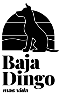 BAJA DINGO MAS VIDA trademark