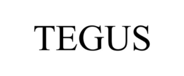 TEGUS trademark