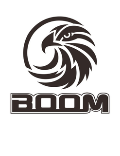 BOOM trademark