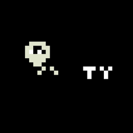 TY trademark