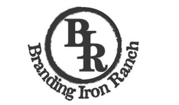 BIR BRANDING IRON RANCH trademark