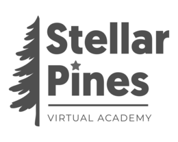 STELLAR PINES VIRTUAL ACADEMY trademark