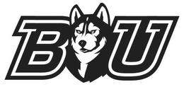 B U trademark