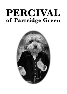 PERCIVAL OF PARTRIDGE GREEN STATION MASTER trademark