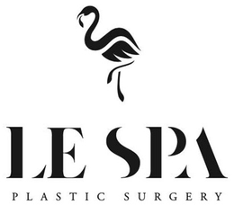 LE SPA PLASTIC SURGERY trademark