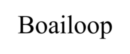 BOAILOOP trademark