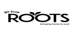 GO TRUE ROOTS BRINGING HOME TO YOU! trademark