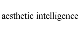 AESTHETIC INTELLIGENCE trademark