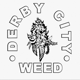 · DERBY CITY · WEED trademark