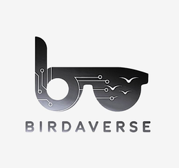 BV BIRDAVERSE trademark